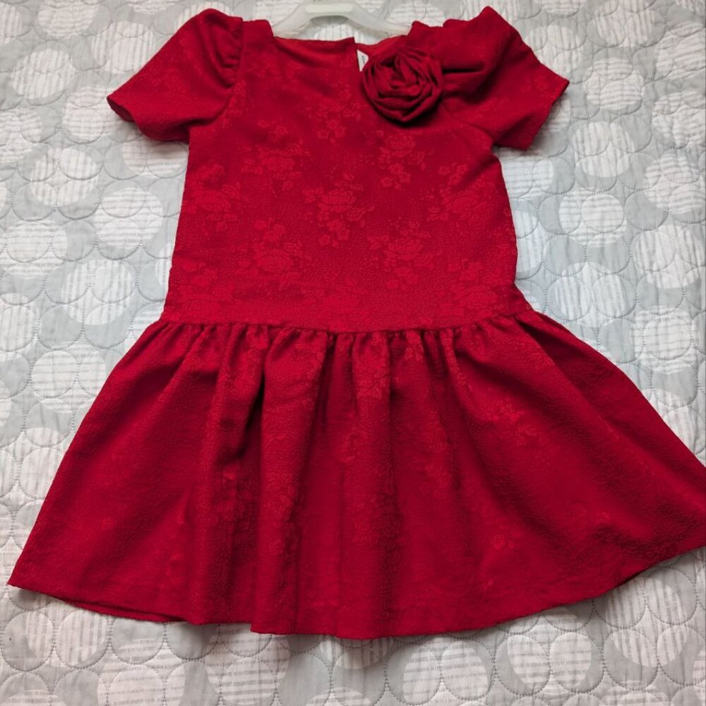 Janie and Jack Girls Rose Jacquard Dropwaist Dress Red Burgundy Size 8 - Picture 8 of 8